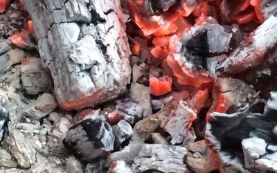 Blog 2 7 consejos de cómo preparar las brasas de una barbacoa