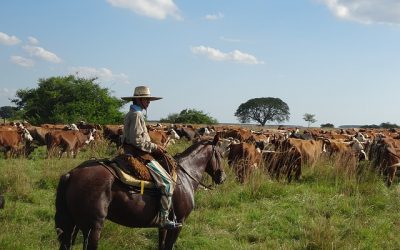 Charles Darwin, los gauchos y el ritual del asado argentino