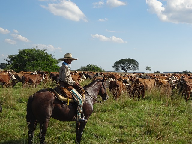 Charles Darwin, los gauchos y el ritual del asado argentino