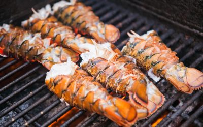 ¿Cómo hacer langosta a la parrilla gourmet?