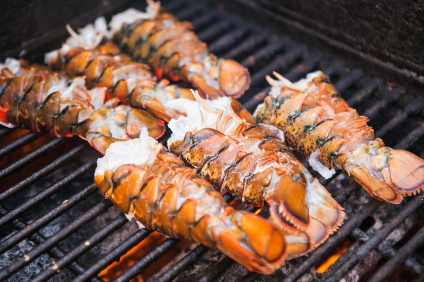 ¿Cómo hacer langosta a la parrilla gourmet?