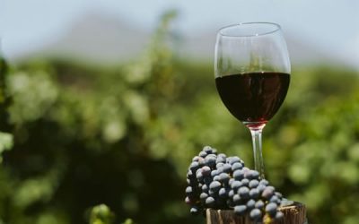 5 mejores vinos argentinos para tu barbacoa