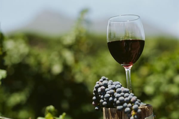 5 mejores vinos argentinos para tu barbacoa