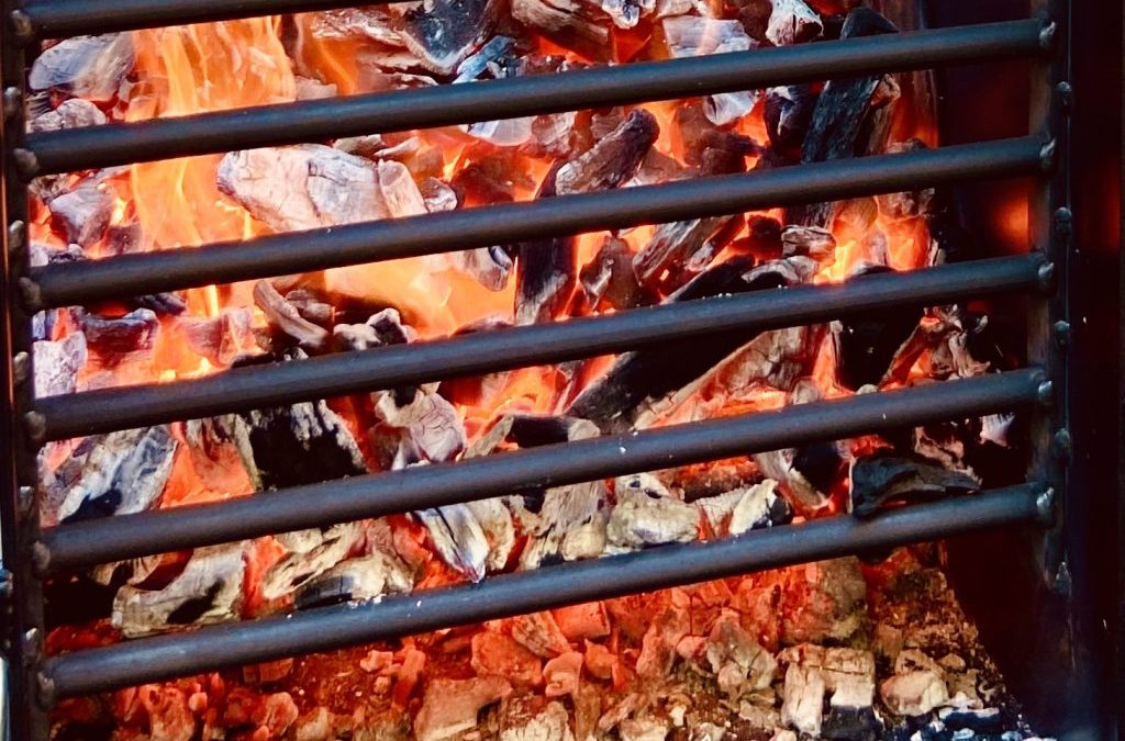 Descubre que carbón para barbacoa es el mejor